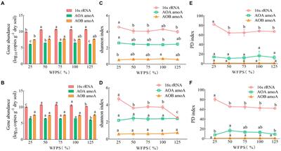 Immediate response of paddy soil microbial community and structure to moisture changes and nitrogen fertilizer application